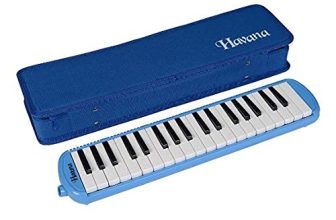 Deals on Folk Keyboards & Accordions – Starting from 2250