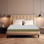 53.0% Off – Centuary Mattresses Softopedic 2.0,6-Inch Single Size Bed Mattress,Orthopaedic Support,Foam Mattress (75 x 36 x 6)