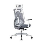 55.0% Off – MBTC Revive Ergonomic High Back Office Chair with Adjustable Seat Depth Slide, Arms, Lumbar Support, Headrest, Grey & White