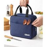 83.0% Off – Insulated Travel Lunch/Tiffin/Storage Bag for Office, College & School Picnic & Lunch Bags (Blue)