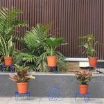 90.0% Off – TrustBasket Eclips Plant Stands Blue (Set of 6) | Premium Strong and Durable Flower Pot Stand for Home Garden, Outdoor Balcony Indoor Living Room Decor | Gamla Stand