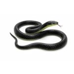 92.0% Off – RZA 2026 (Snake Pack of 1 pcs) ZA Realistic Black Rubber Snake Toy – 28-inch Lifelike Garden Prop for Scaring Birds Black Skane Fake Snake Toy