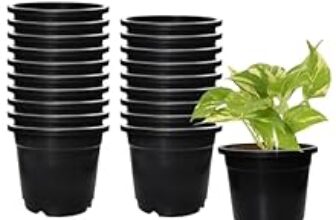 61.0% Drop – Amazon Brand – Solimo 100% Virgin Plastic Round Nursery Planter Pot | Indoor and Outdoor Flower Pot for Home/Office/Table/Garden/Balcony Decoration | 6 inch, Set of 20 | Black