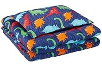 80.0% Off – AmazonBasics Kid’s Comforter Set – Soft, Easy-Wash Microfiber – Twin, Multi-Color Dinosaurs