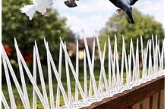 83.0% Off – XONOV Bird and Pigeon Spikes, Pigeon Control Spikes Anti Bird Plastic Spikes for AC Balcony Railing Window Home Protection from Pigeon Dog Monkey Crow Kabootar Transparent (Pack of 10 (13 Inch))