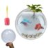Deals on Aquarium Accessories – Starting from 160