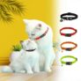 Deals on Cat Collars, Harnesses & Leashes – Starting from 149