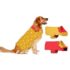 89.0% Off – VGRASSP Fluffy Fantastic Walking Puppy Toy for Kids – Cap Dog with Light in Eyes and Cute Puppy Sound – Adorable, Safe and Soft Toy – Color and Design As Per Stock